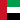UAE flag
